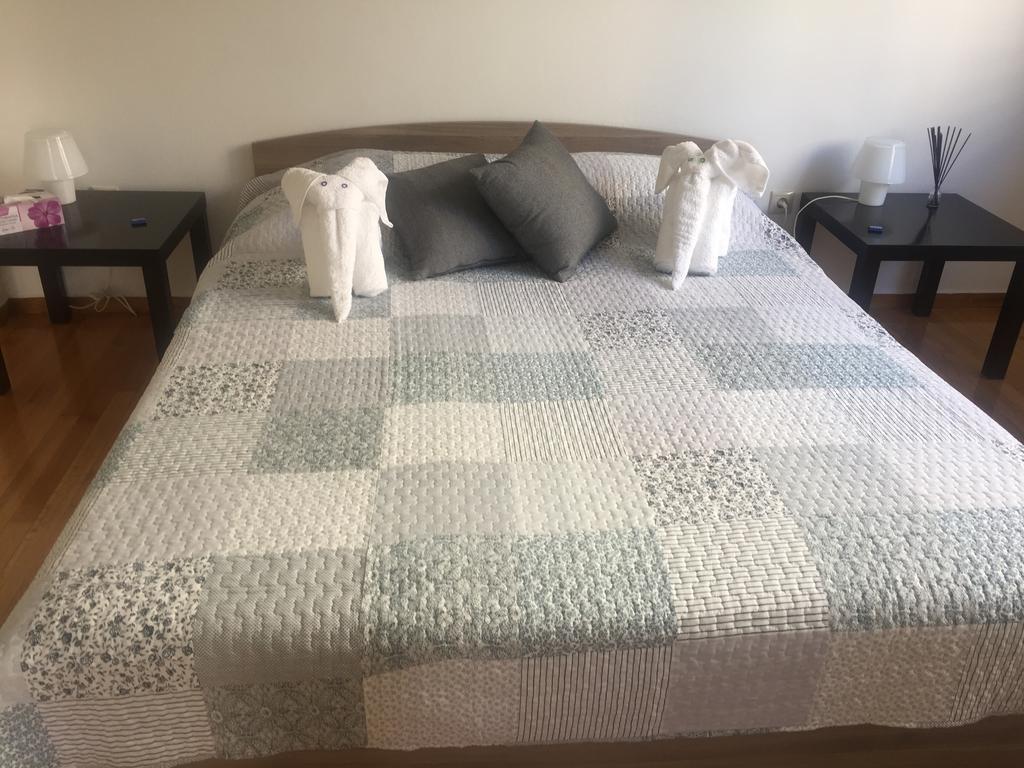 Central 5 Room Apartment أثينا المظهر الخارجي الصورة