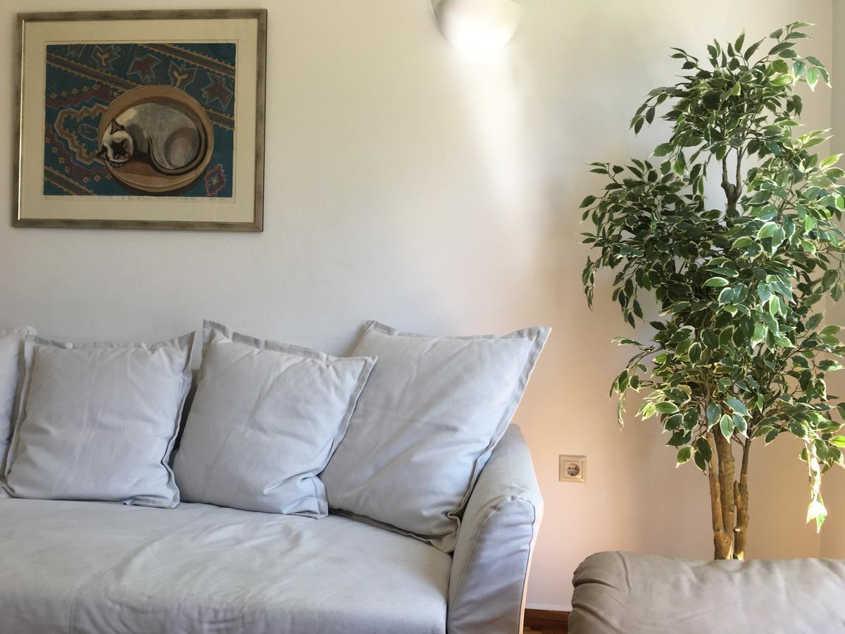 Central 5 Room Apartment أثينا المظهر الخارجي الصورة